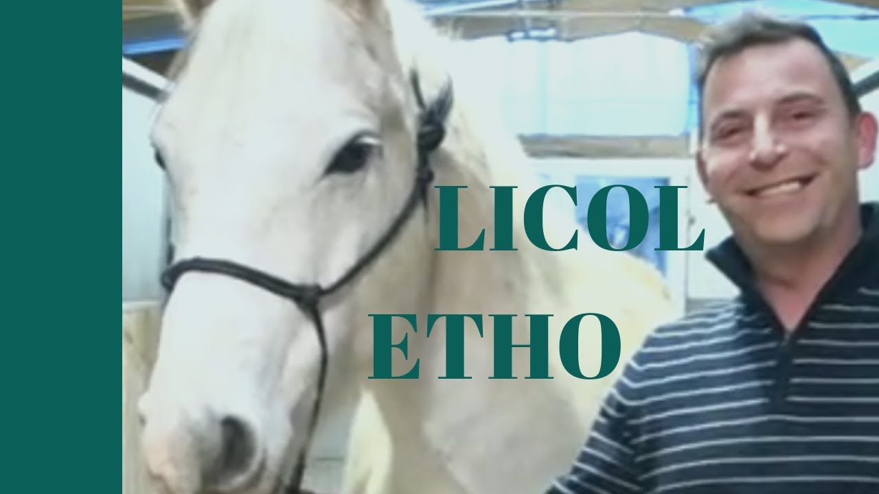 TUTO EQUITATION: AJUSTER SON LICOL ETHOLOGIQUE