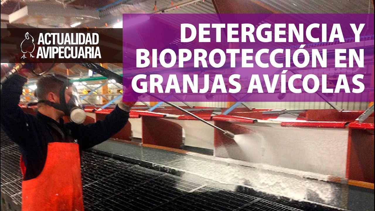 La importancia de una correcta limpieza en granja