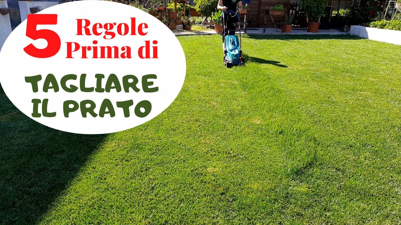 Come Tagliare Il Prato