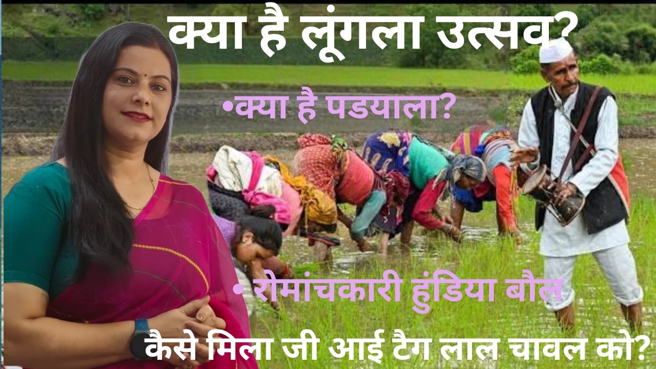 Lungla Utsav 2026 | Traditional Agricultural Festival | Culture, Farming & Rural Celebration 🌾