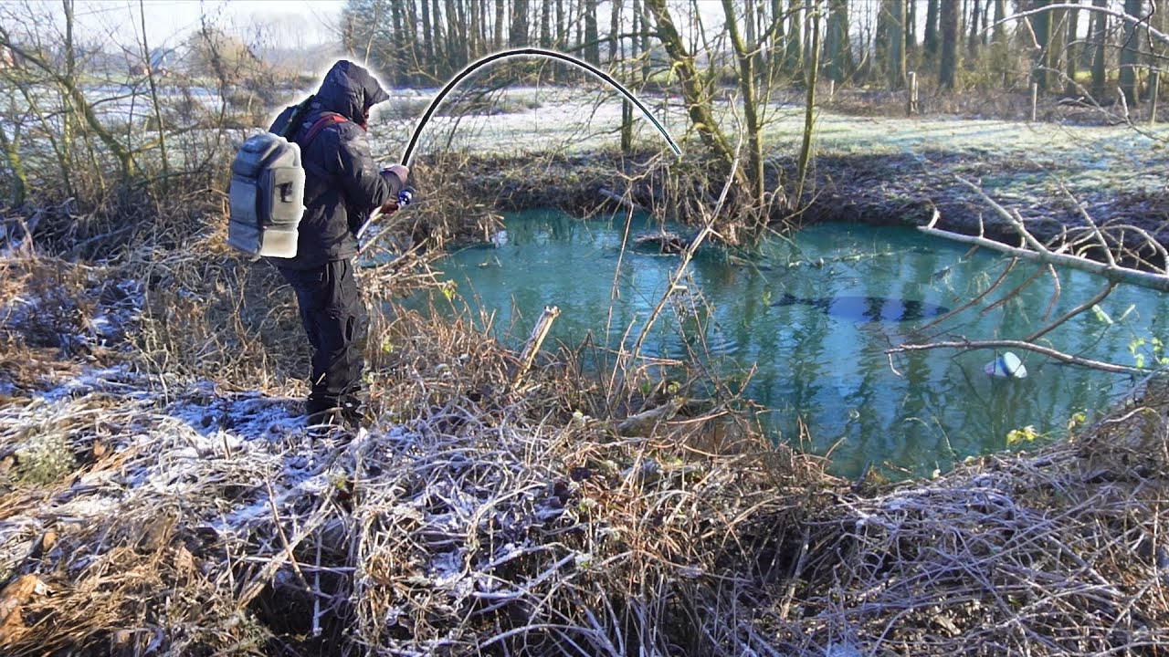 I Finally Caught The Big One! Frozen Forrest Adventure
