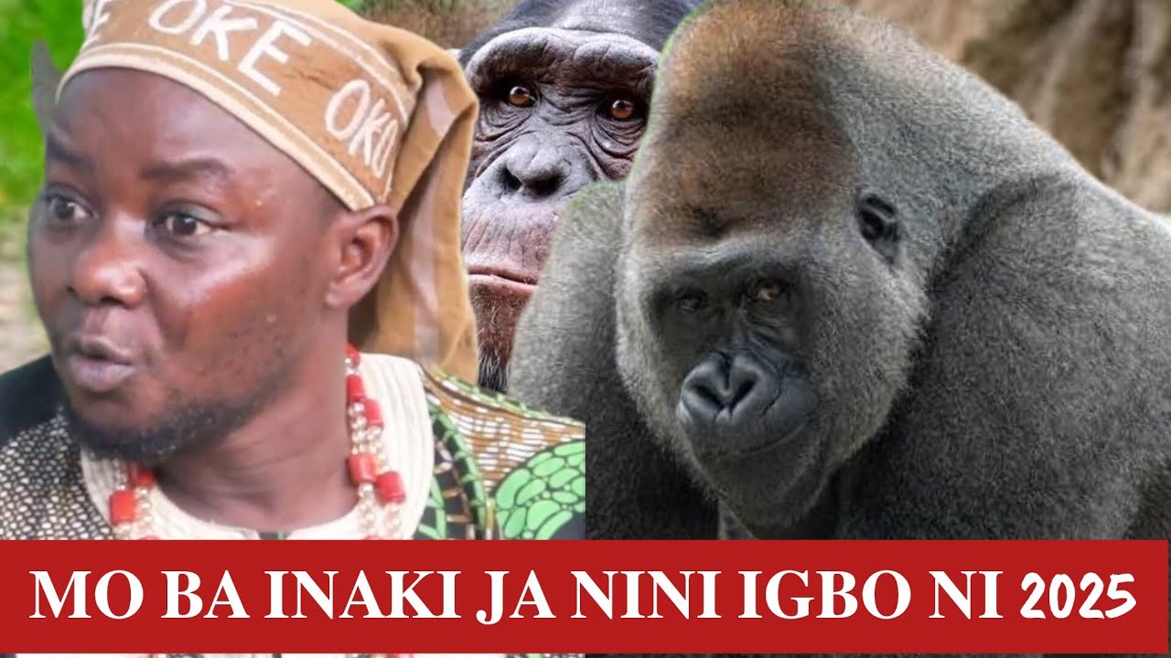 𝐎𝐆𝐁𝐎𝐉𝐔 𝐎𝐃𝐄 𝐓𝐎 𝐁𝐀 𝐈𝐍𝐀𝐊𝐈 𝐉𝐀 𝐍𝐈𝐍𝐔 𝐈𝐆𝐁𝐎 𝐍𝐈 2025