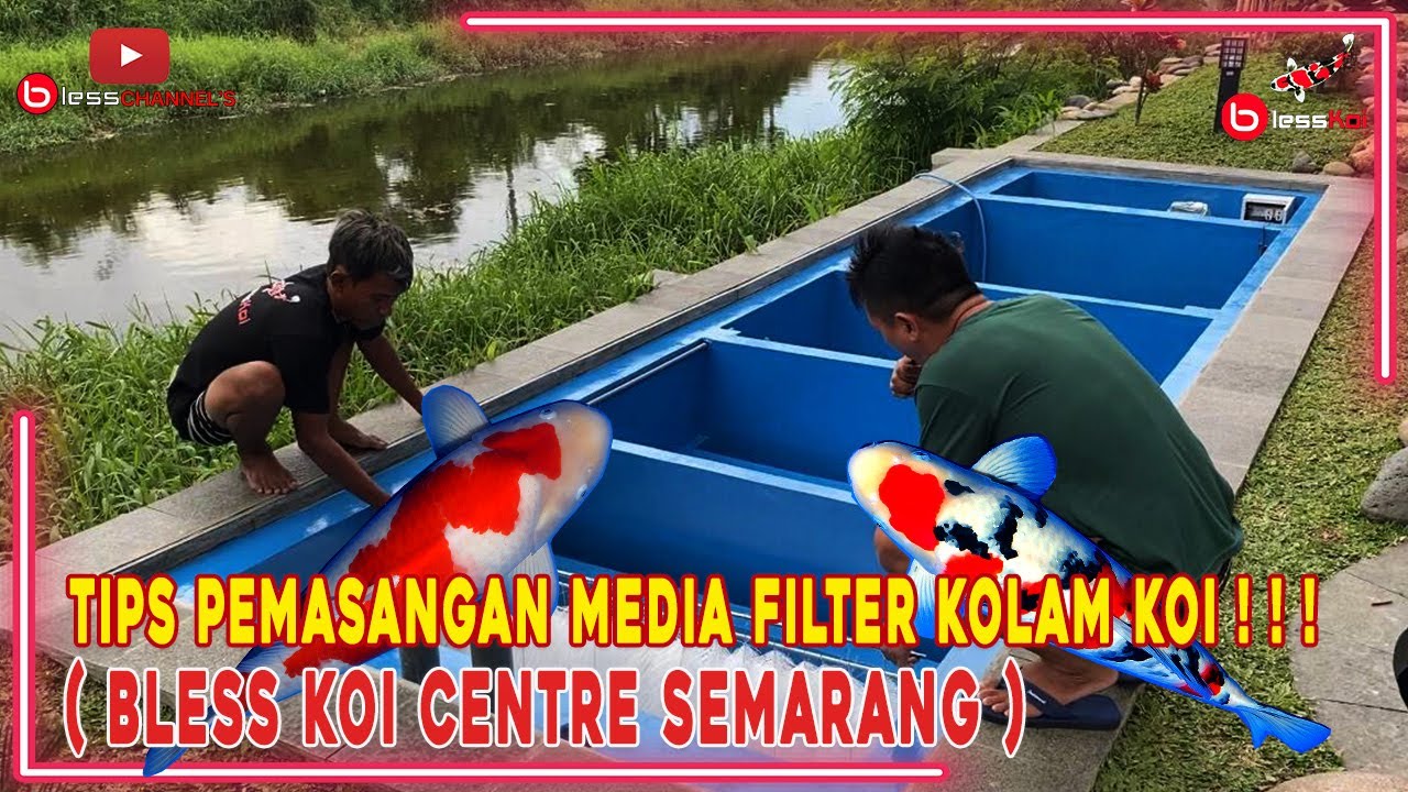 TIPS PEMASANGAN MEDIA FILTER KOLAM KOI❗❗❗( BLESS KOI CENTRE SEMARANG )