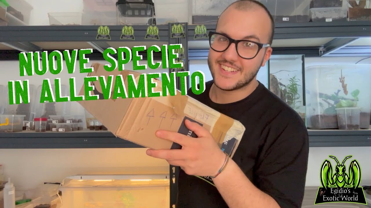 NUOVE SPECIE IN ALLEVAMENTO - Unboxing di Animali