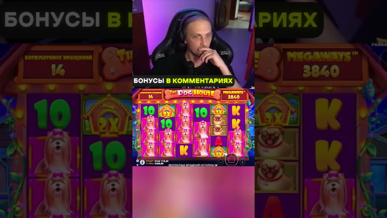 Зубарев самый большой выигрыш в Дог Хаус | Заносит в Dog House Megaways 