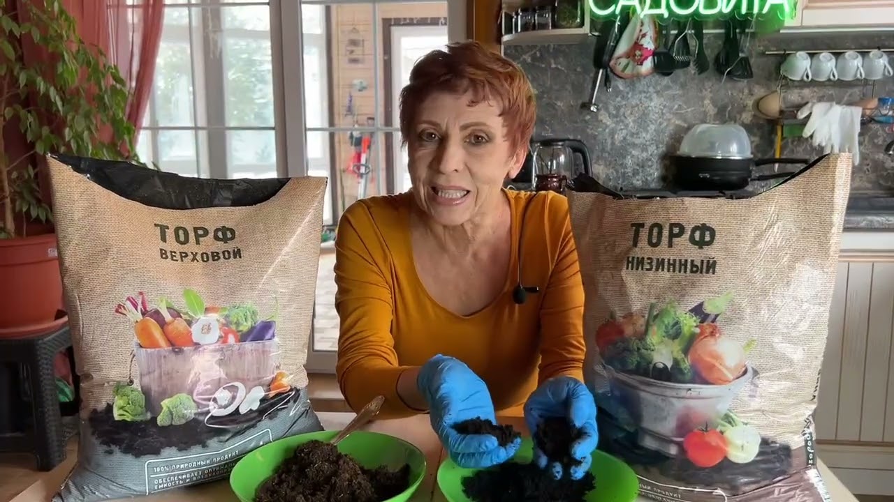 В чем отличие низинного торфа от верхового?