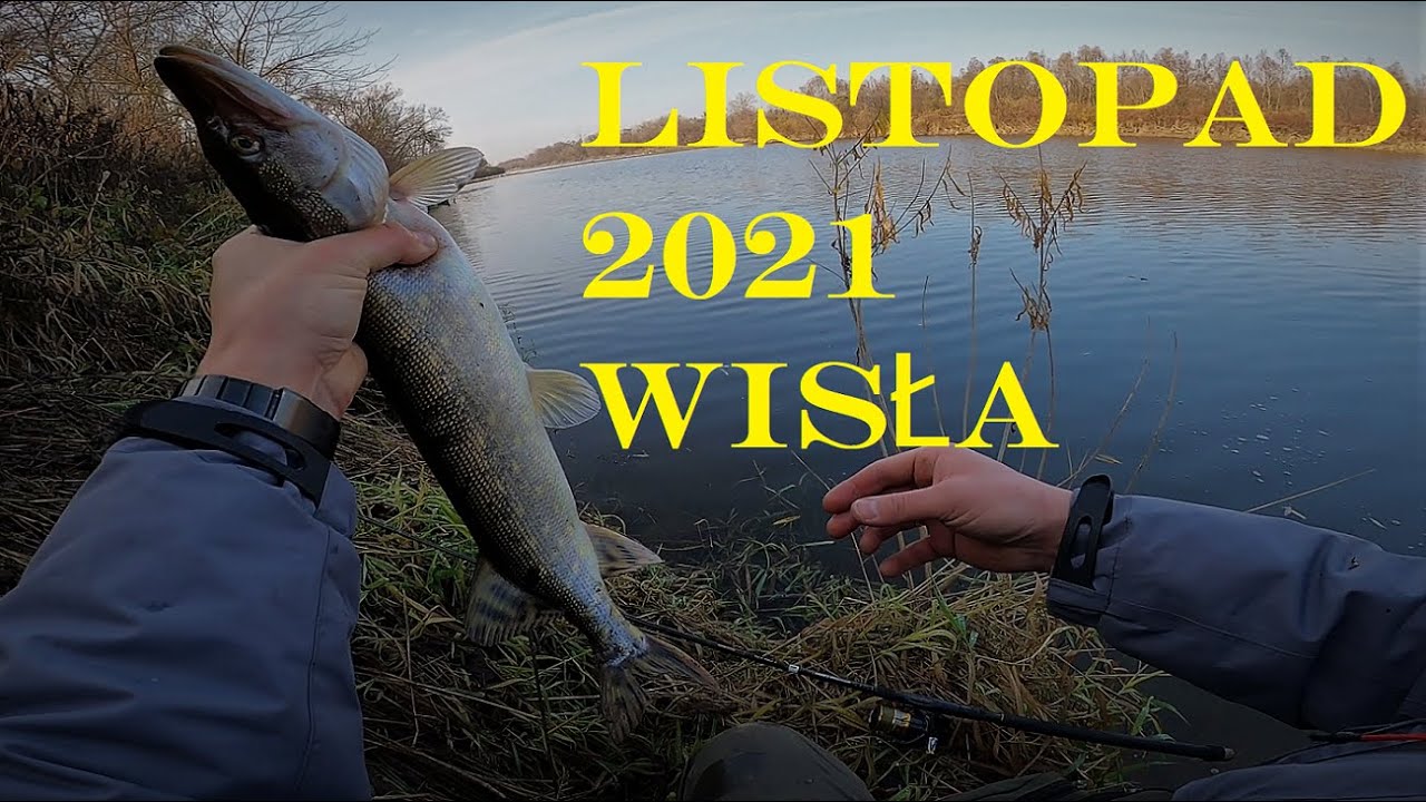 Wisła 11 listopad