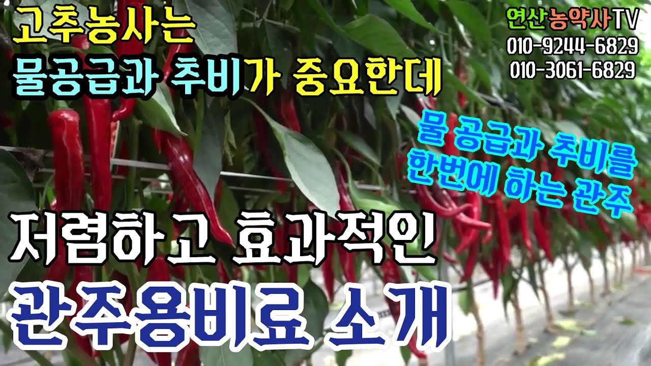 EP. 201 물 공급과 추비를 한번에 하는 관주!!! (저렴하고 효과적인 관주용비료 소개)