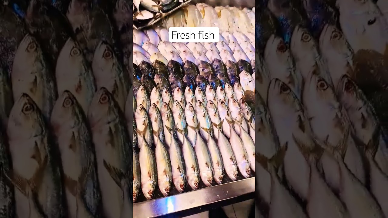 Amazing fish variety fresh Sea fish 🐟🐟🐟 