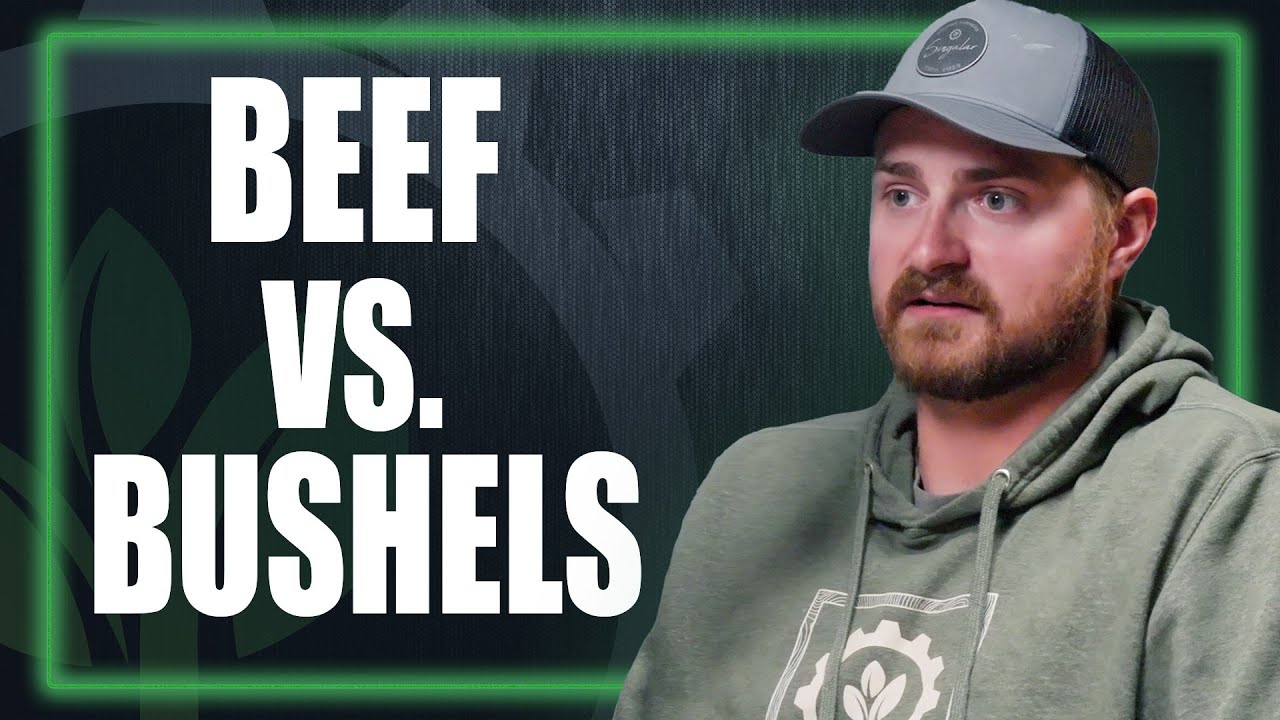 Beef vs. Bushels: Is Grazing More Profitable Than Grain on Tough Ground?