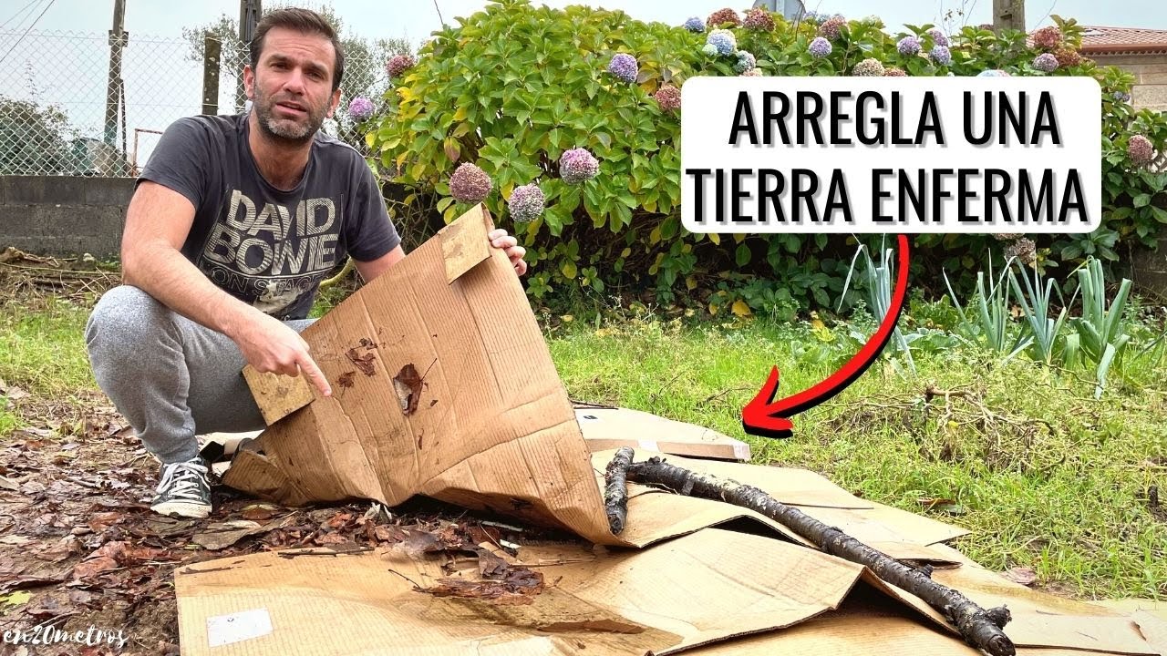 ASÍ SE REPARA UNA TIERRA ENFERMA EN EL HUERTO: solución TOMATES ENFERMOS parte 2 || en20metros