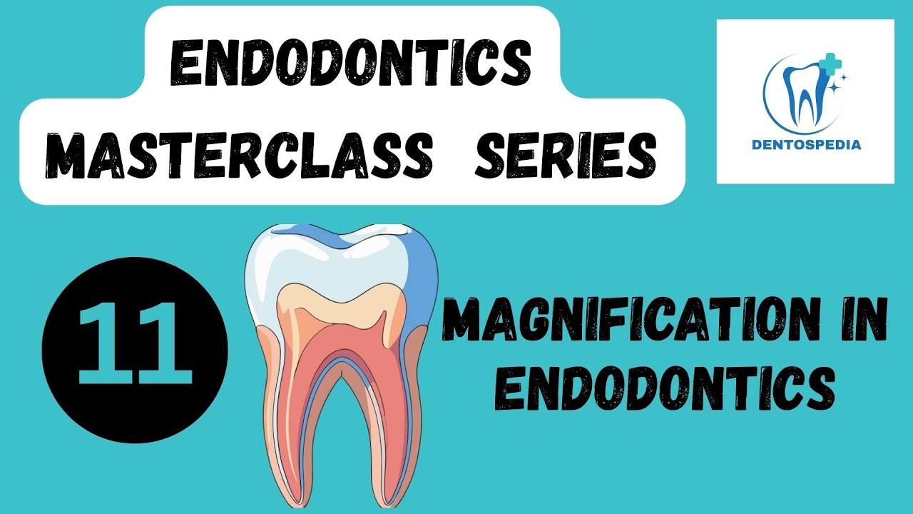 ENDO 11 Magnification in Endodontics Explained #Dentospedia #afk #inbde #ore #mfds #adc  #mds #adat
