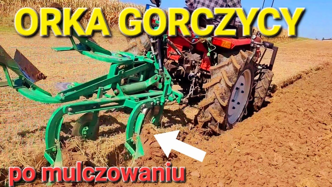 Jesienna orka poplonu 2024 Yanmar F24d