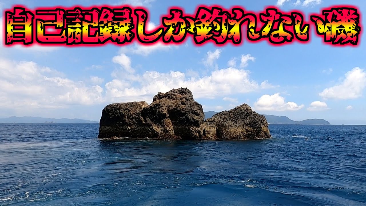 鵜来島のバケモノ達をハリス２０号で黙らせろ！
