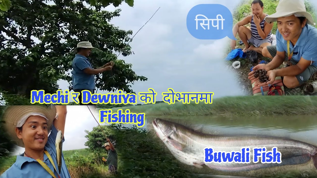 Dovan Ma Daju Vai Fishing Garnu Gako || Buwali Parna Aas Ma... 🐟 🦈 || Macha Nai  Naparera...