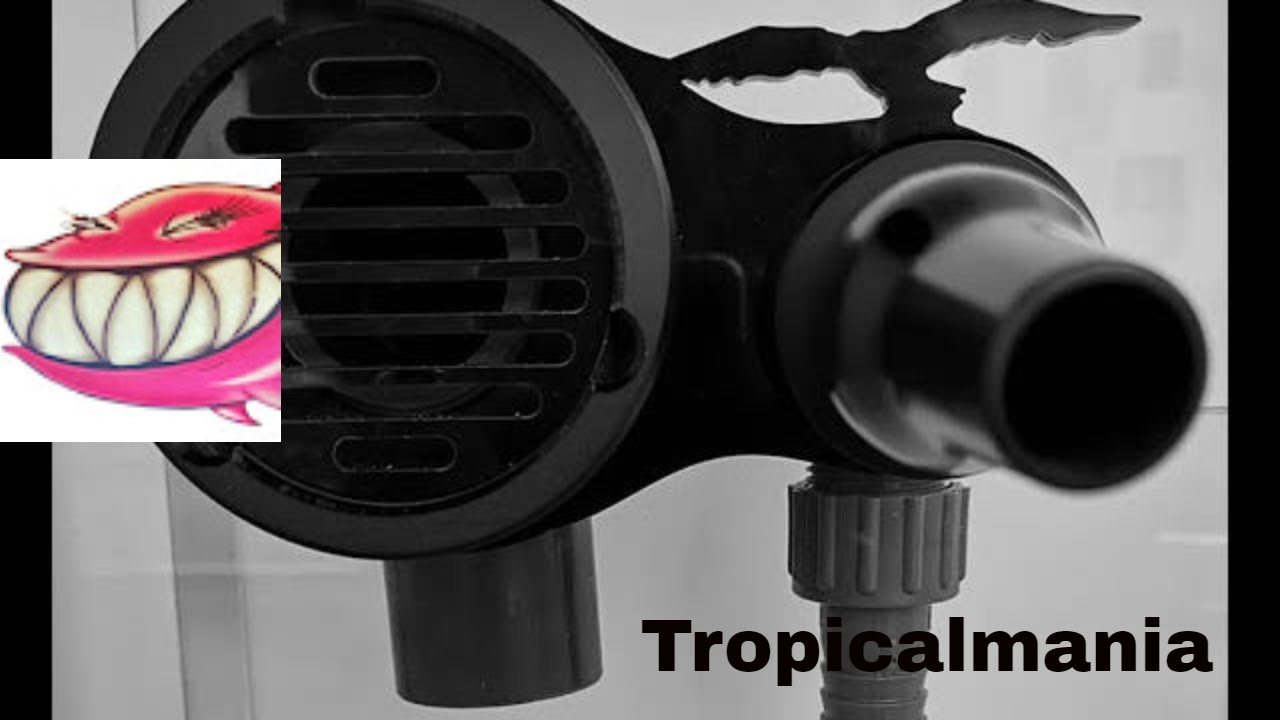 Scarichi Oceanlife. Differenze e problematiche tra uno scarico efficiente e un sottodimensionato