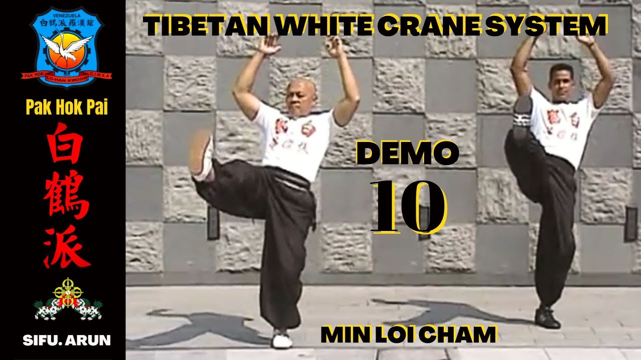 PAK HOK PAI | NEEDLE IN COTTON | TIBETAN WHITE CRANE | GRULLA BLANCA | 白鶴派 | AGUJA EN ALGODON