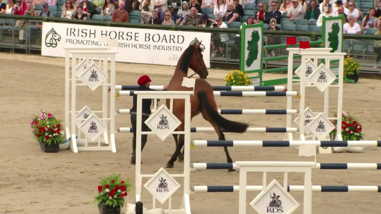 2024 RDS Dublin Horse Show: Sunday 13:15-14:00 Tristan Tucker Masterclass, Simmonscourt
