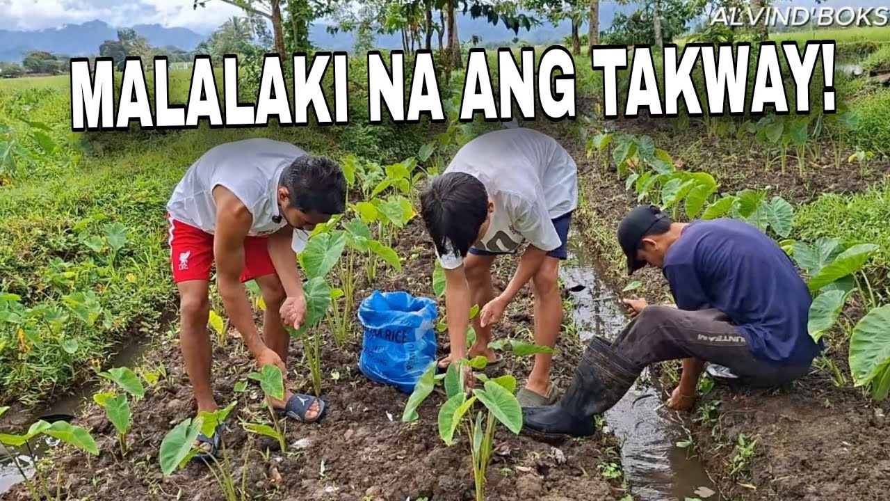 Buhay Probinsya! Pagpapataba Sa Aming Takway! 