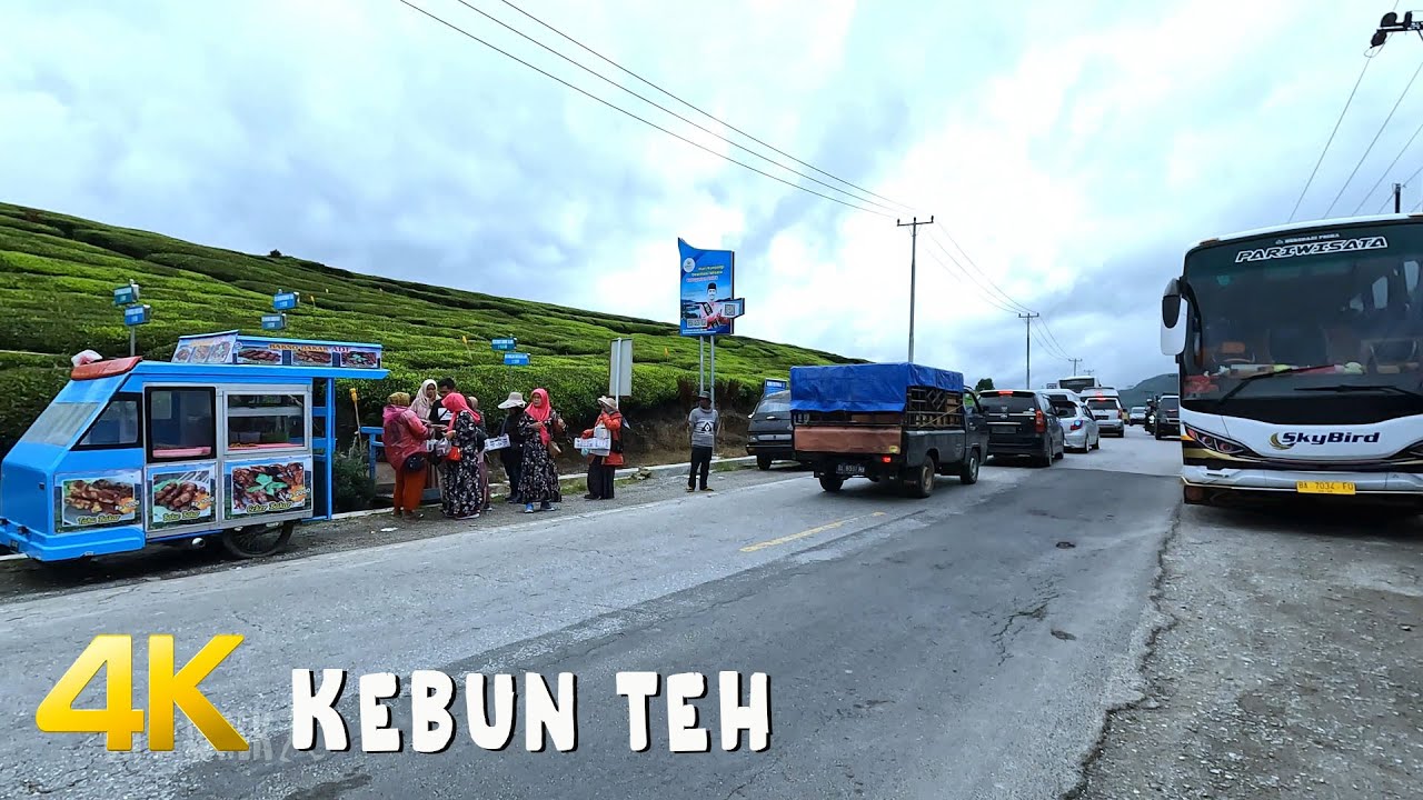 Mengapa datang kesini | berjalan sekitar kebun teh alahan panjang | 4k 60fps