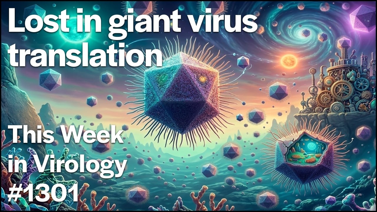TWiV 1301: Lost in giant virus translation