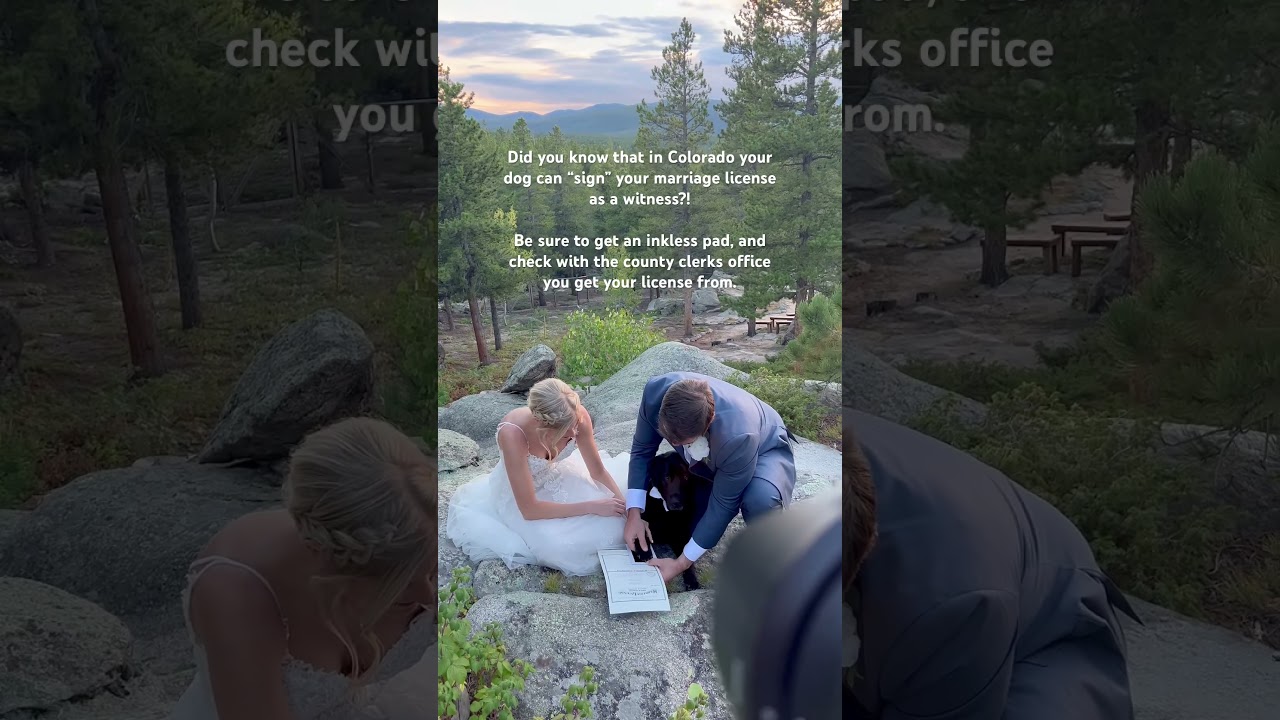 Your dog can sign your marriage license if you get married in Colorado! 🐾 