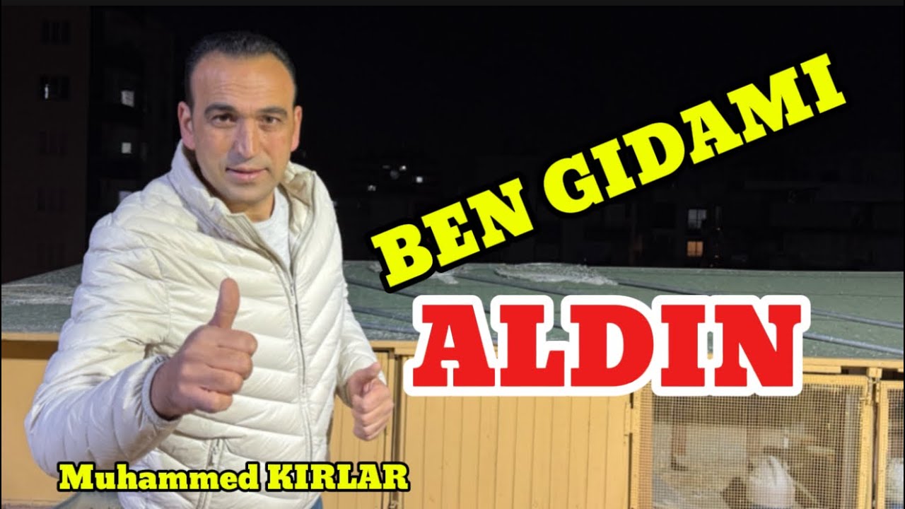 YAĞMUR BEREKETLİ OLDU Güvercin damlar serisi.