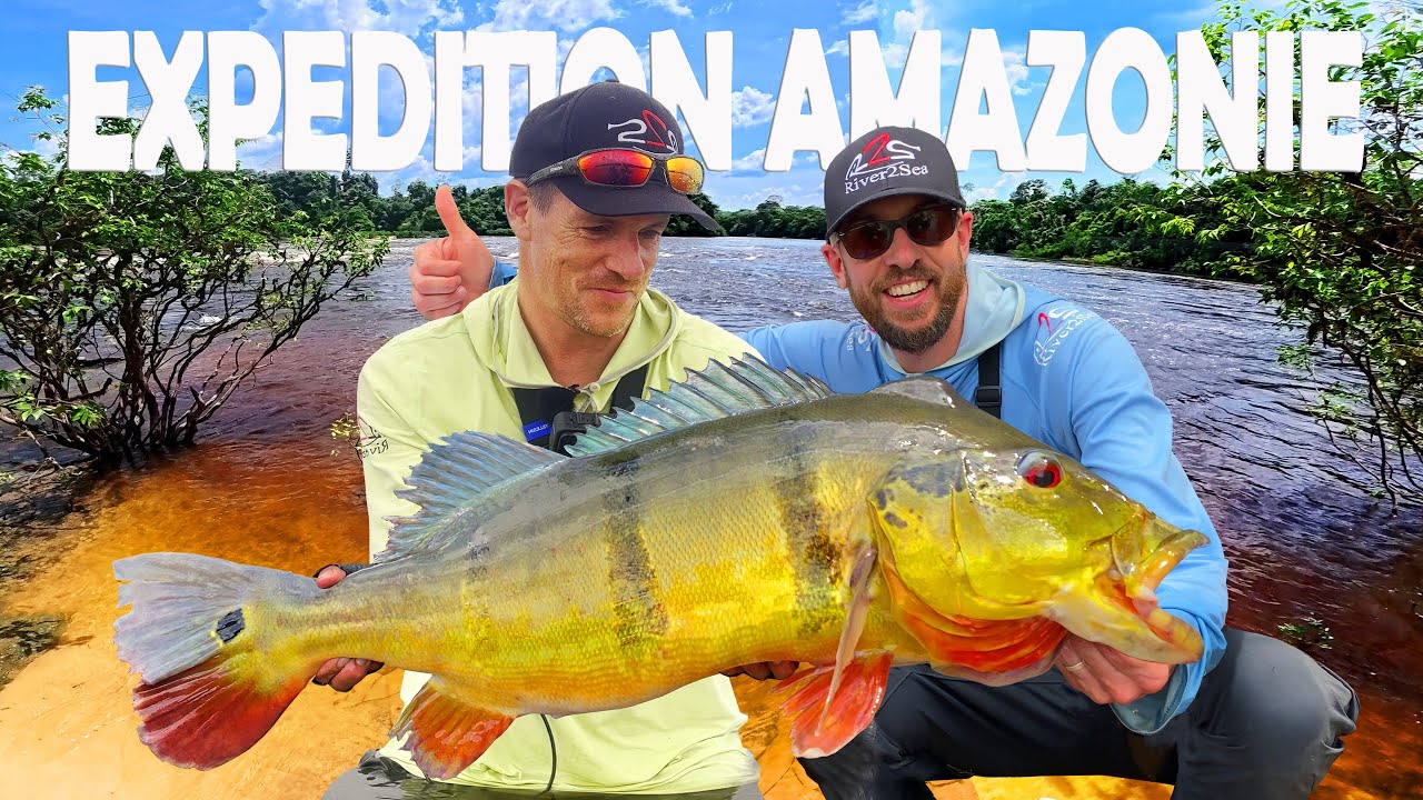 24h en AMAZONIE pour attraper des peacocks SURPUISSANTS !!!