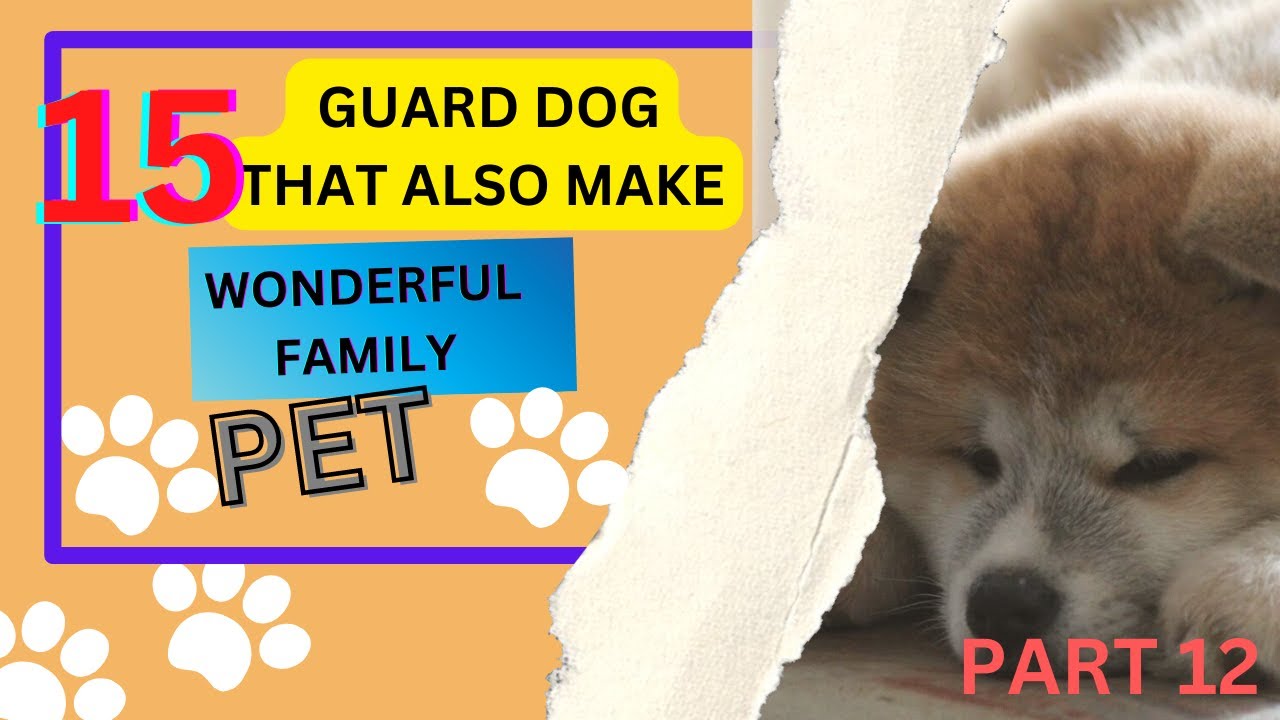 15  GUARD DOGS THAT ALSO MAKE WONDER FAMILY PET.STRONG & FEARLESS,YET CUTE, ADORABLE, LOYAL Part 12