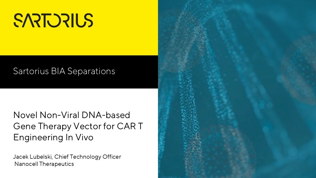 Novel Non-Viral DNA-based Gene Therapy Vector for CAR T Engineering In Vivo