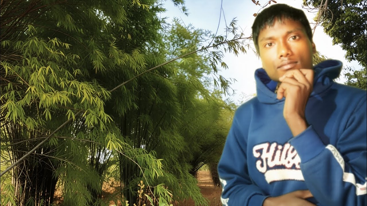 चारों तरफ़ बांस का घना जंगल 😲 | ऐसा जंगल पहले कभी नहीं देखा