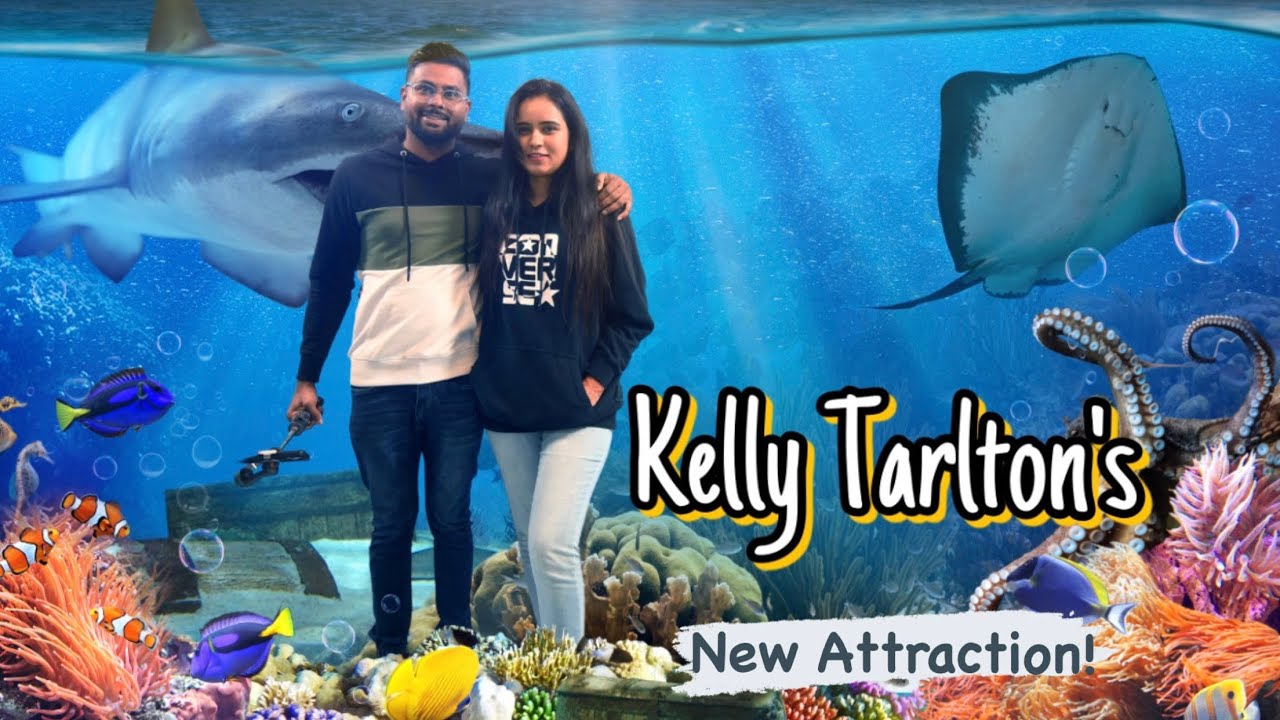 Kelly Tarlton’s | Aquarium | A Day Trip | Auckland