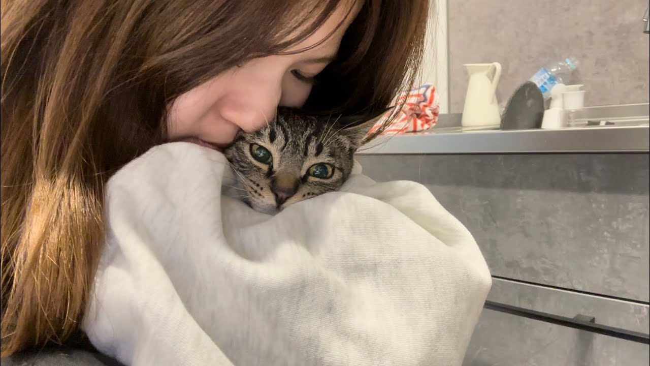 甘えにこない新入り子猫をママが沢山抱っこしたらこうなりました【とらまる】