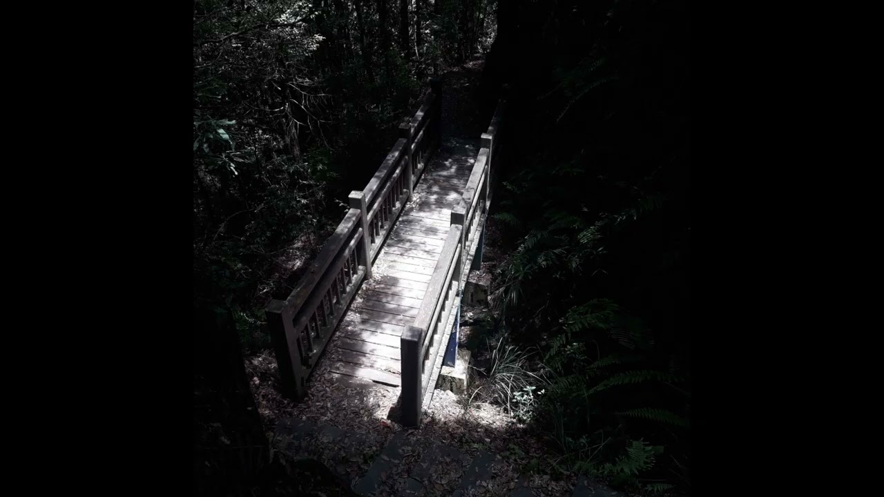 Small bridge in the woods