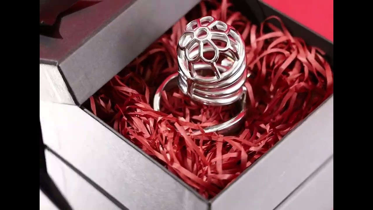 FRRK Male Metal Chastity Cage - F3003
