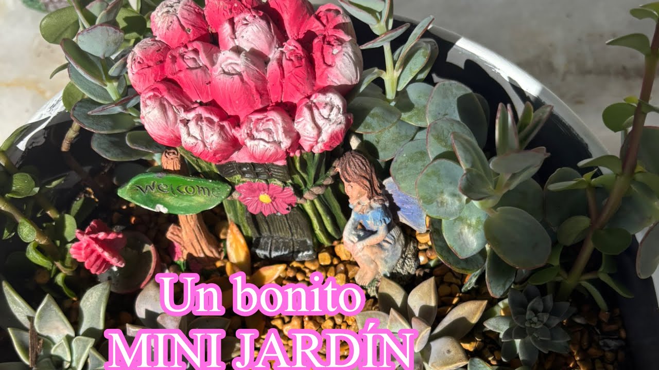 Creando un hermoso ARREGLO SUCULENTO, acompáñame en el PASO  a PASO. Saludos a subscriptores. 