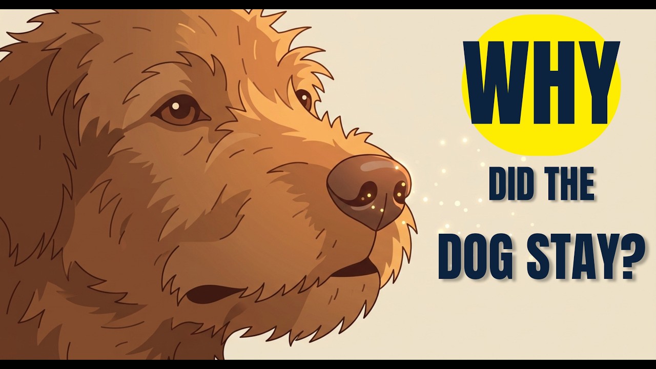 5 Reasons Street Dogs CHOOSE Agonizing Hunger Over A Rich Stranger (They Wish You Knew THIS)