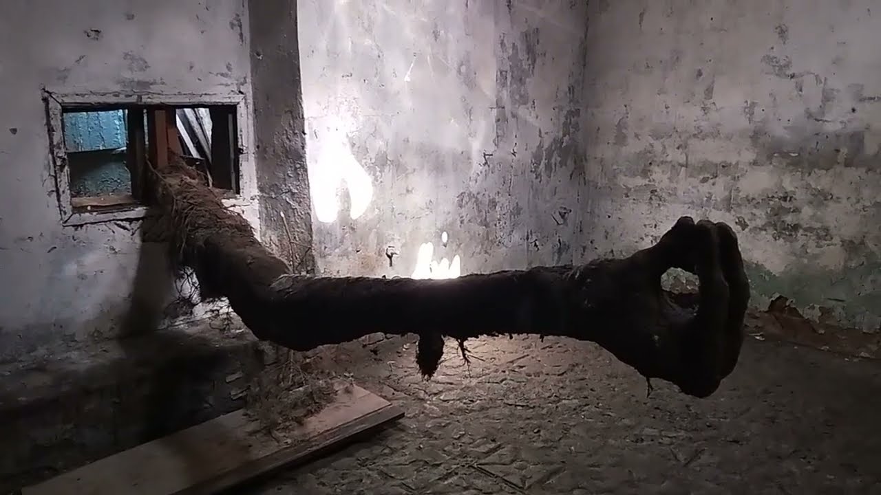 6-й Фестиваль 