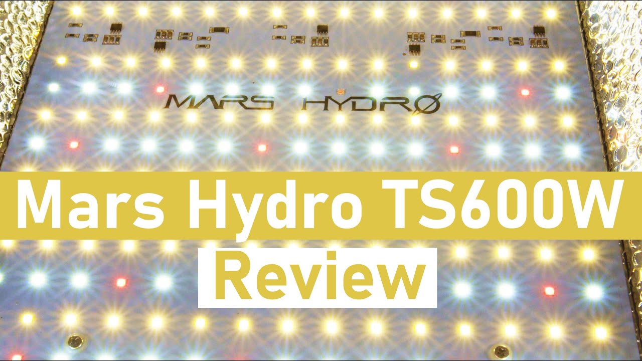 Mars Hydro TS600 LED Grow Light Review