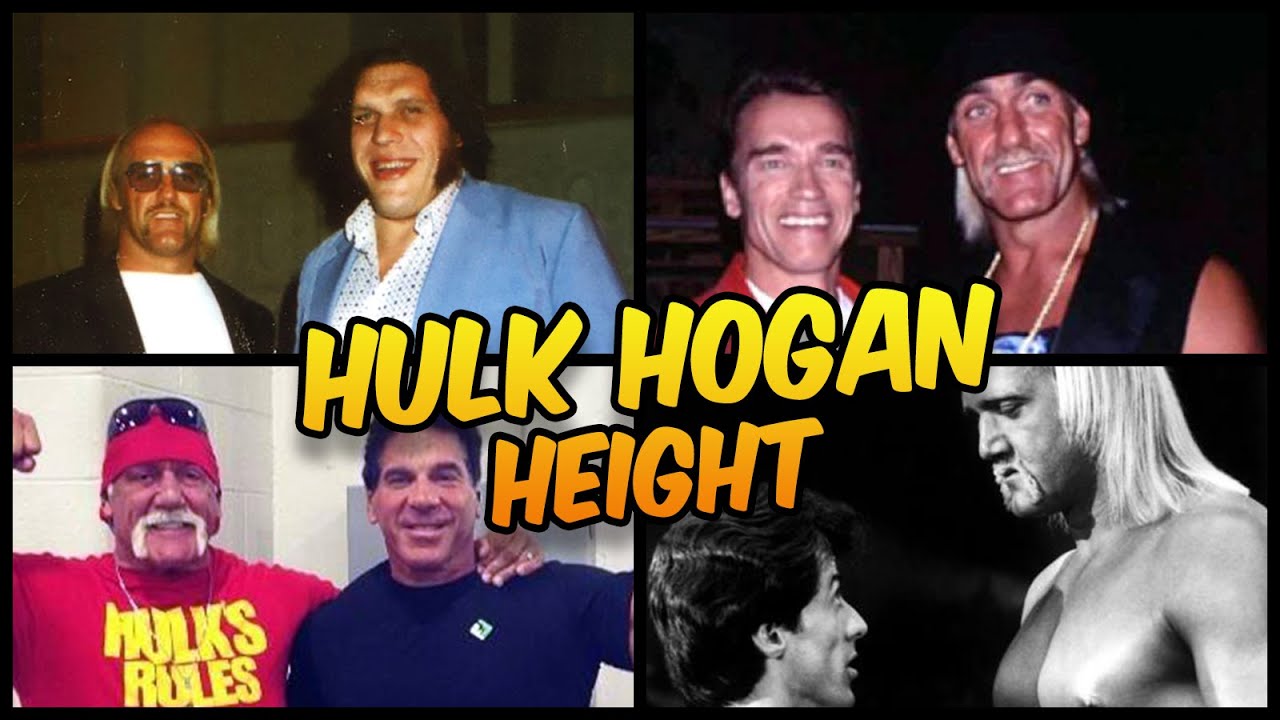 Hulk Hogan's Height is Smashing 👊
