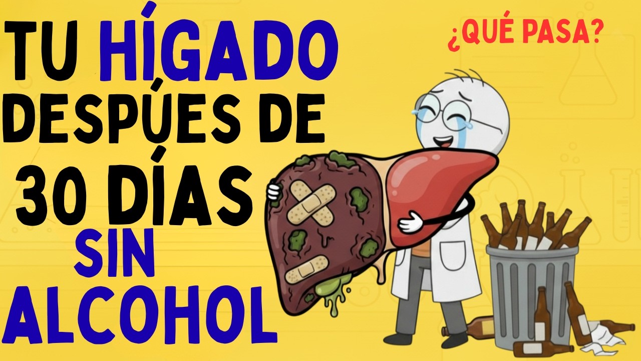 ¿QUÉ LE SUCEDE A TU HÍGADO, DESPÚES DE 30 DÍAS SIN ALCOHOL?