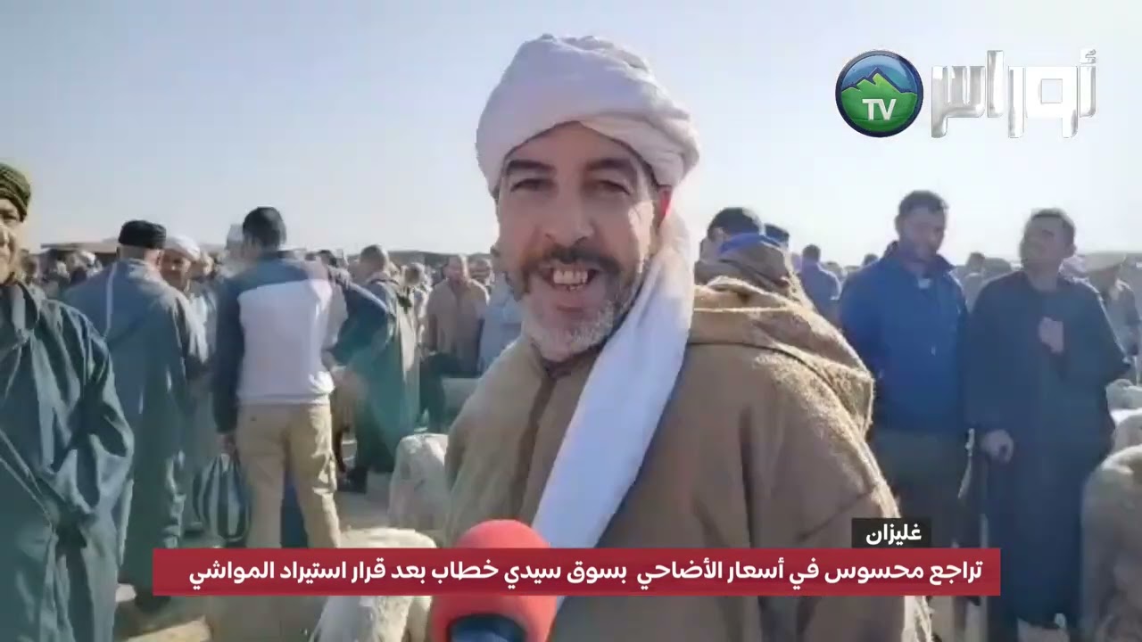 تراجع محسوس في أسعار الأضاحي  بسوق سيدي خطاب بعد قرار استيراد المواشي الرومانية