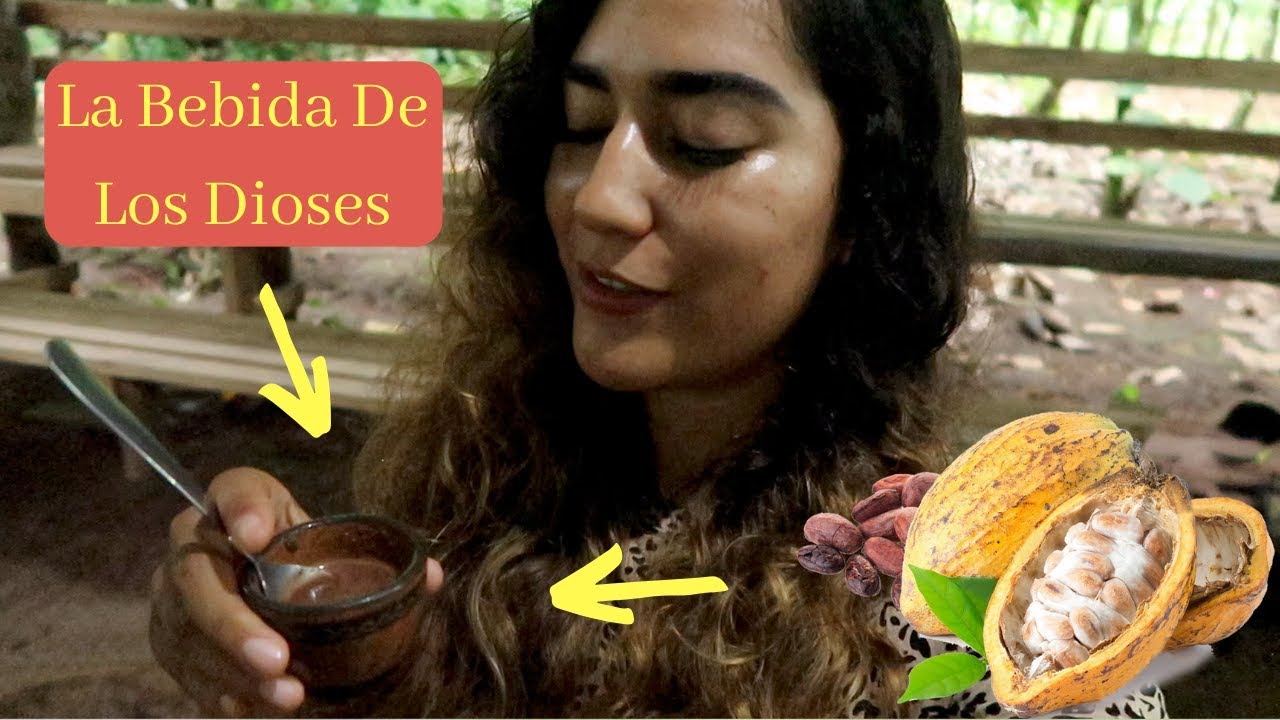 Tour De Chocolate En Costa Rica