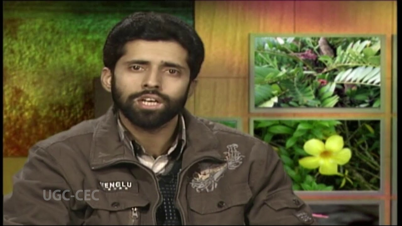 Origin of Angiosperms