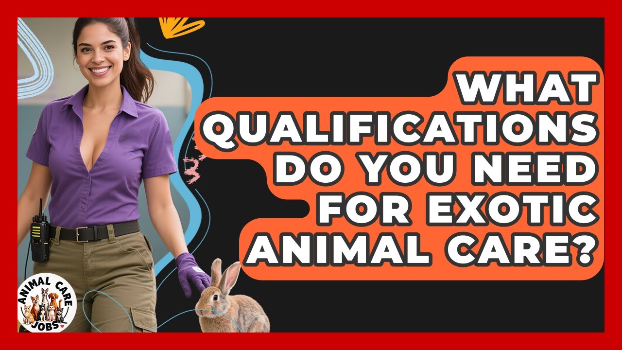 What Qualifications Do You Need for Exotic Animal Care? | Animal Care Jobs