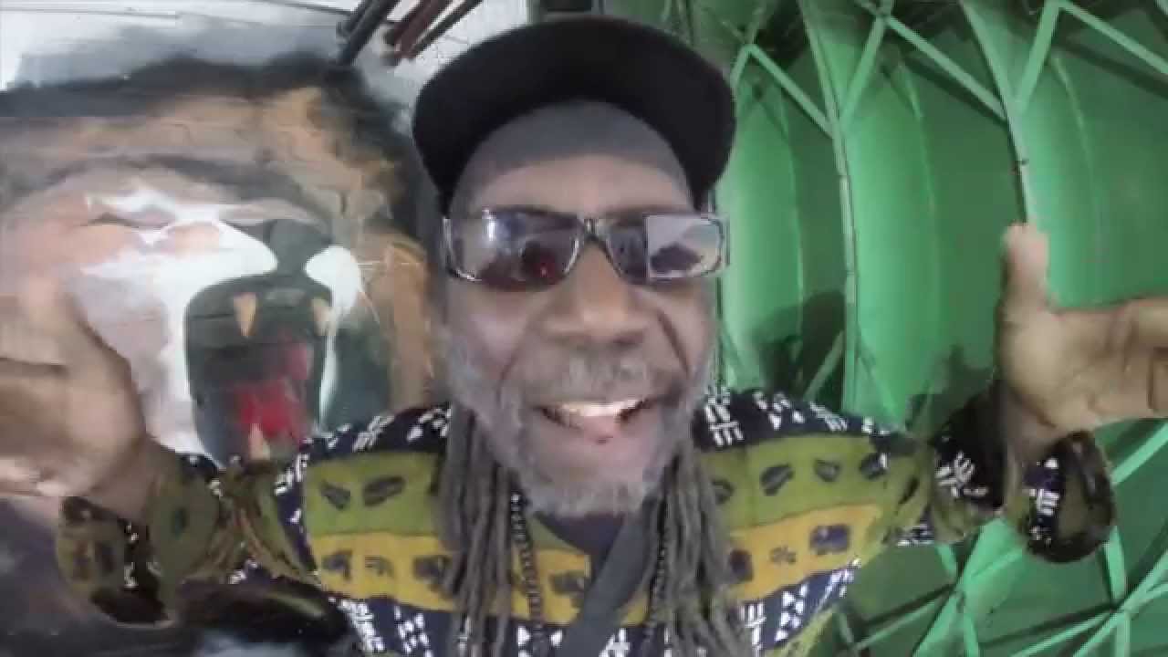 VIBRONICS featuring MACKA B - ARE YOU READY (Official Music Video)