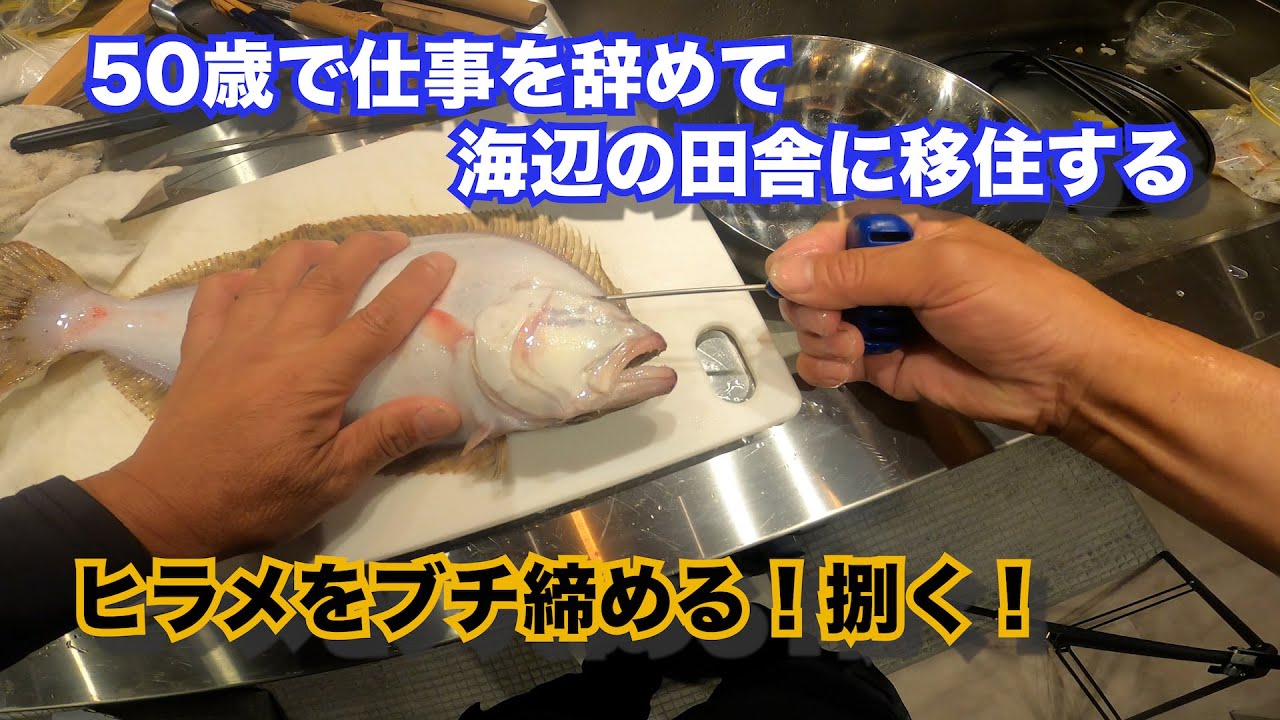 『職人伝授』ヒラメの締め方！田舎暮らしのお仕事！