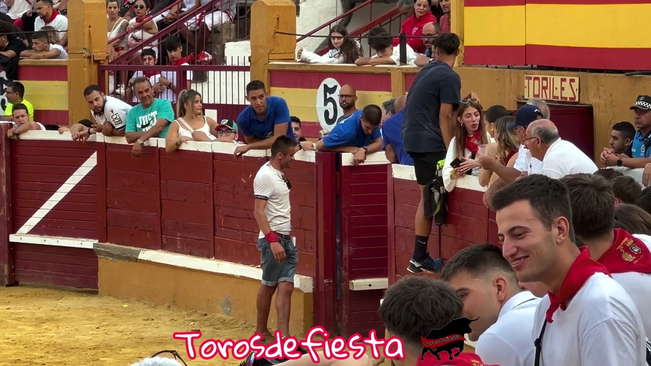 Tudela entrada del encierro y vacas ganadería Virgen de Sancho Abarca