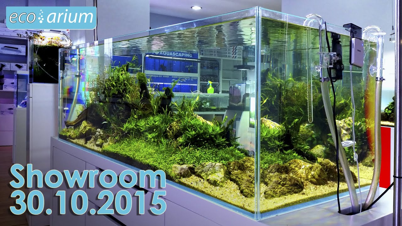 Ecoarium Showroom - 30.10.2015