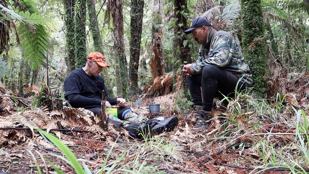 Tent & Tarp Bush Camping -  New Zealand (part2)